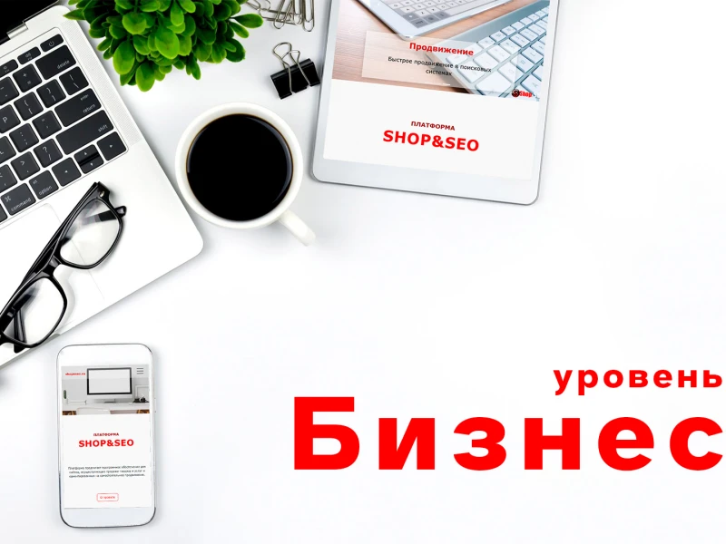платформа Shop'n'SEO, уровень Business